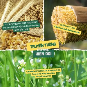 Tinh Chất Dưỡng Tóc Đa Năng 6in1 - Coco Miracle Hair Treatment 6in1