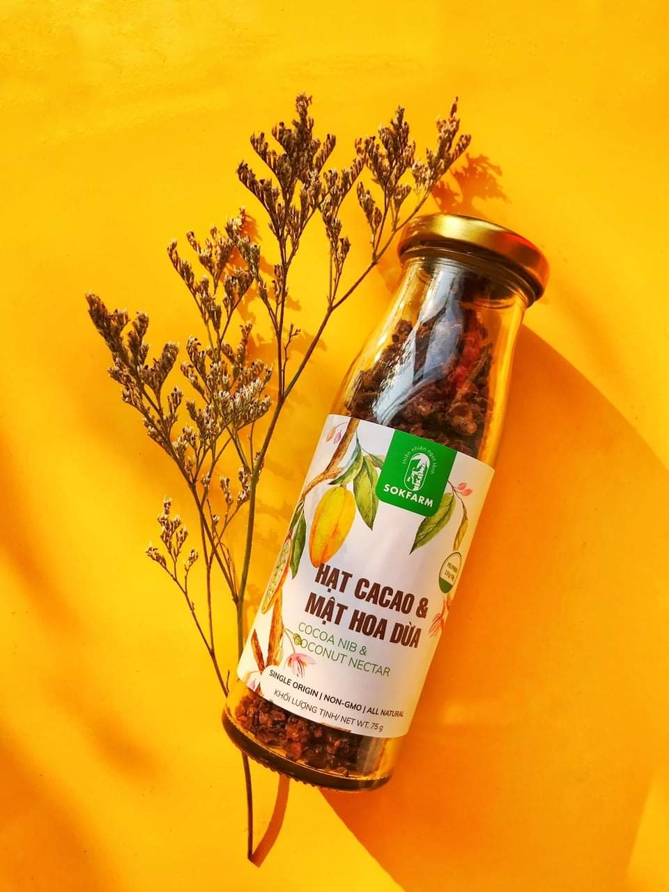 hat-cacao-say-mat-hoa-dua-tuoi